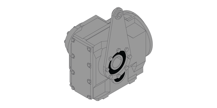 Shaft mounted version plus torque arm