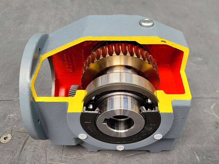 Cutaway model of a worm gearbox from the outside. Some areas are clearly marked, like the cutting points in yellow