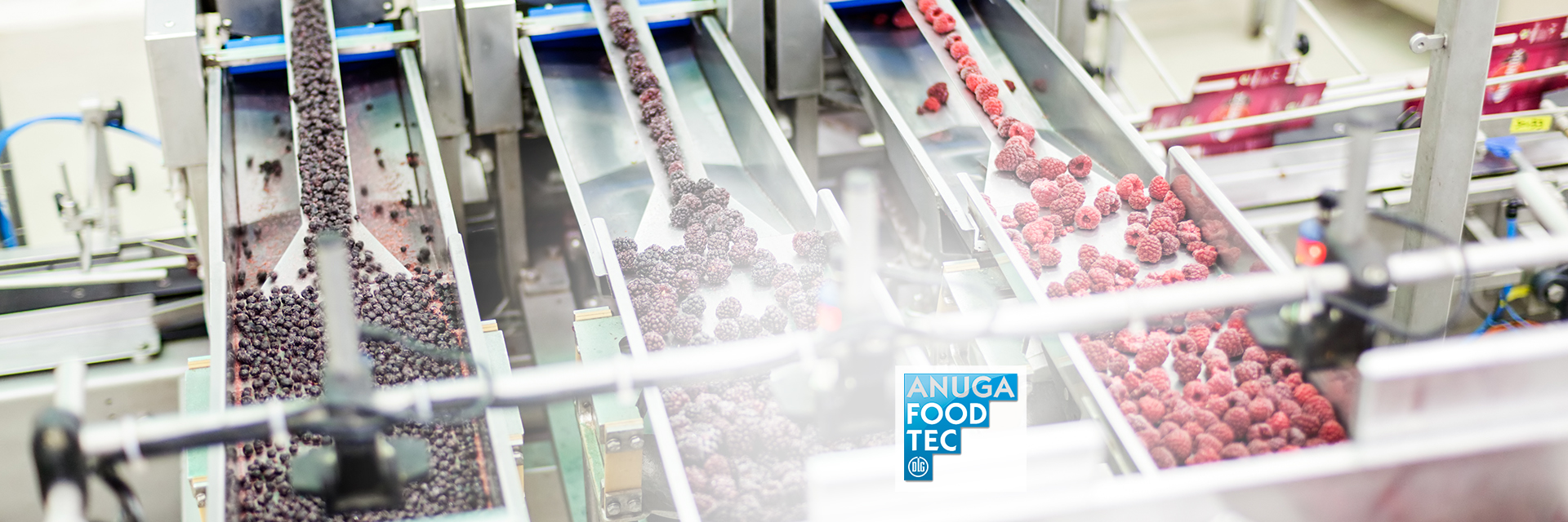 image of the processing of frozen berries in a food processing plant with the logo of the Anuga Food Tec