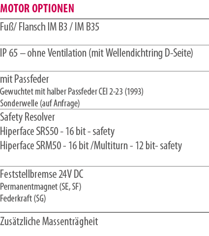 Motor Optionen,Fu / Flansch IM B3 / IM B35 ,IP 65 – ohne Ventilation (mit Wellendichtring D Seite) ,mit Passfeder Gew...