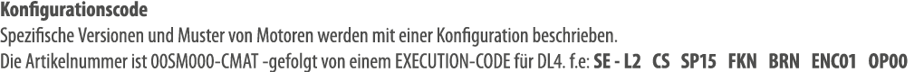 Konfigurationscode Spezifische Versionen und Muster von Motoren werden mit einer Konfiguration beschrieben. Die Artik...